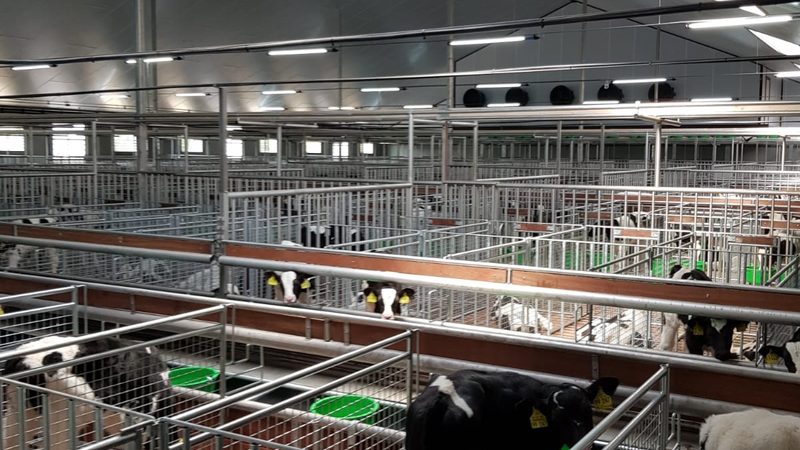 抖音小店代运营效果如何？揭秘真实评价背后的关键指标